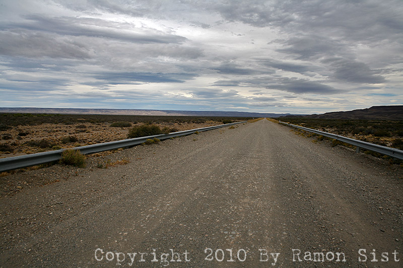 IMG_4347.jpg
