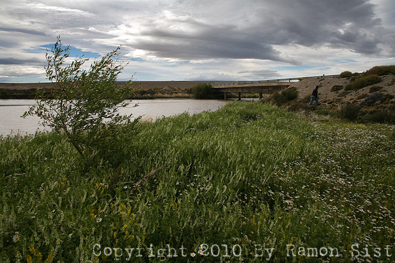 IMG_4354.jpg