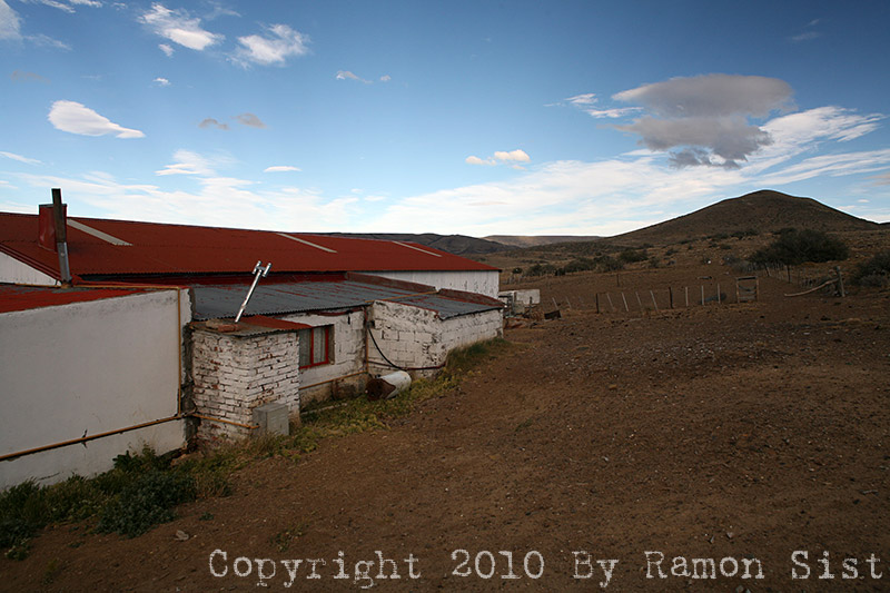 IMG_4368.jpg