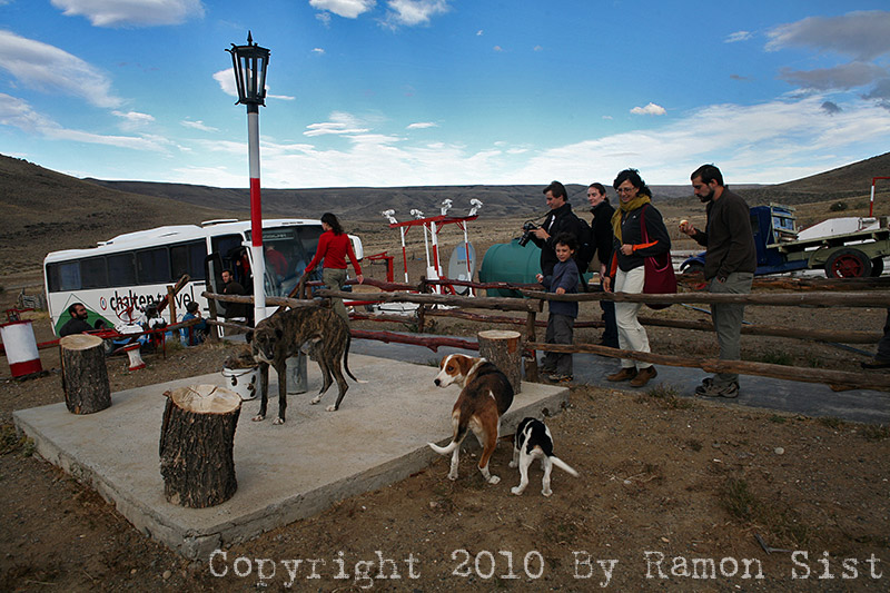 IMG_4370.jpg