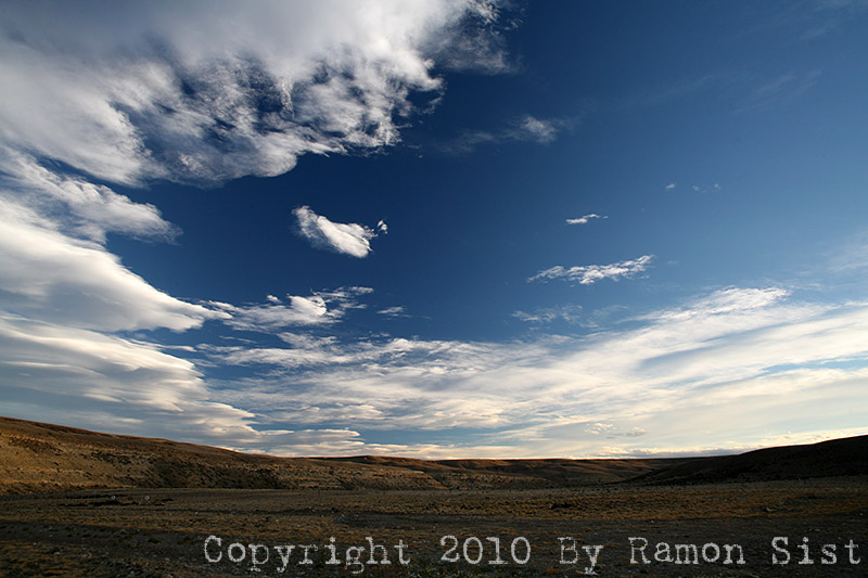 IMG_4373.jpg