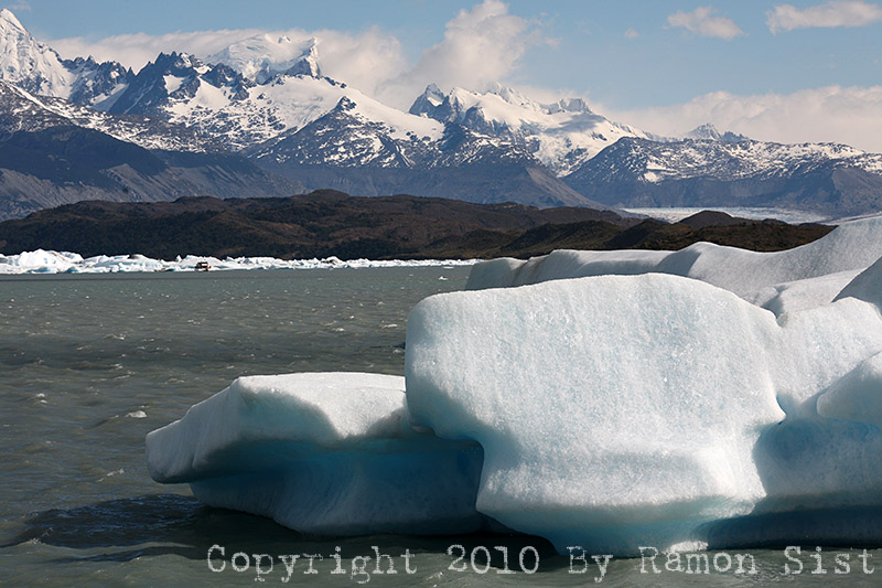 IMG_4406.jpg