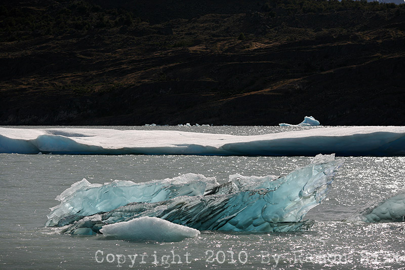 IMG_4422.jpg