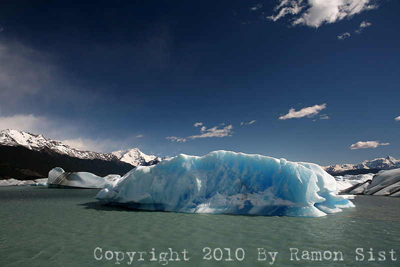 IMG_4436.jpg