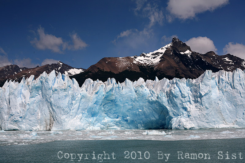 IMG_4469.jpg