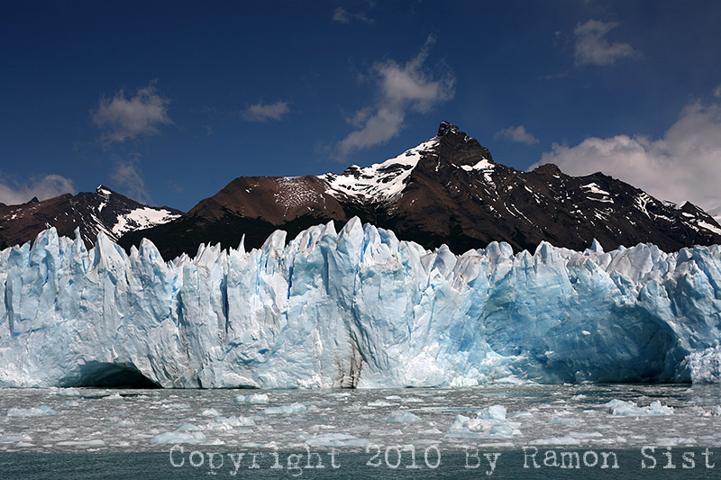 IMG_4479.jpg