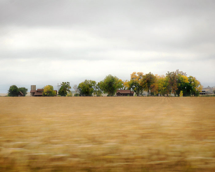 Loveland Gallery