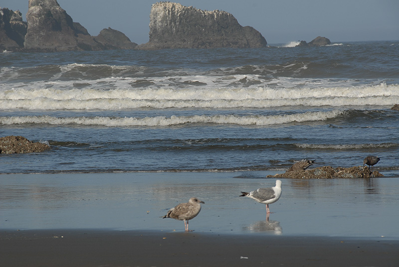DSC_2609.jpg