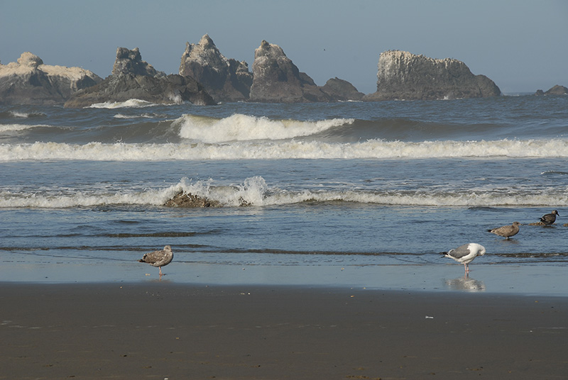 DSC_2610.jpg