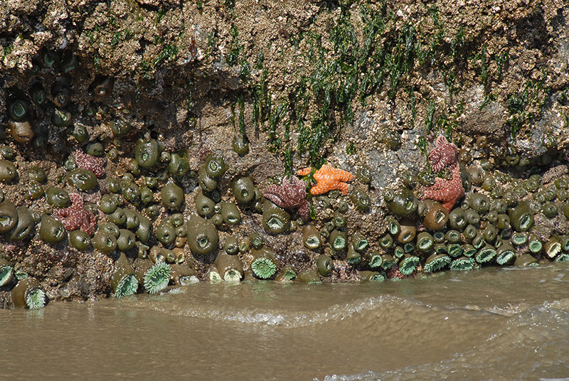 DSC_2619.jpg