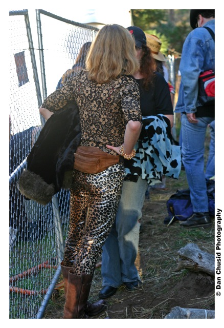 Hardly Strictly Bluegrass