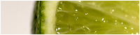 small50_macro.jpg