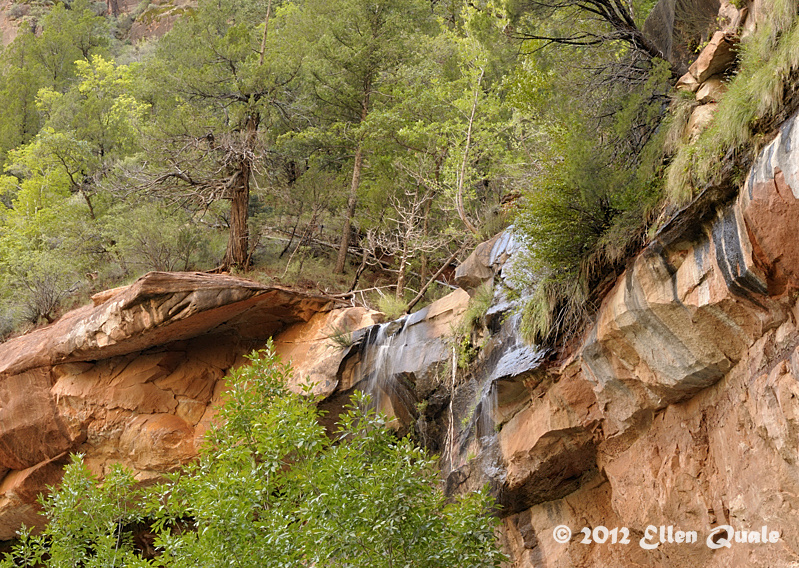 Zion Narrows 3.JPG