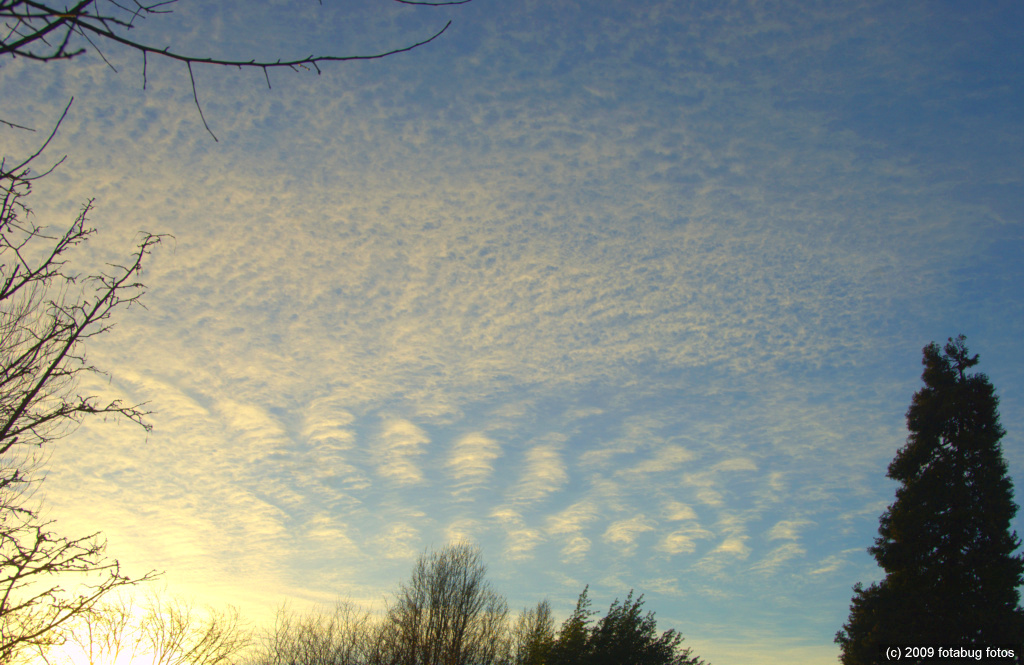 A January Evening Sky