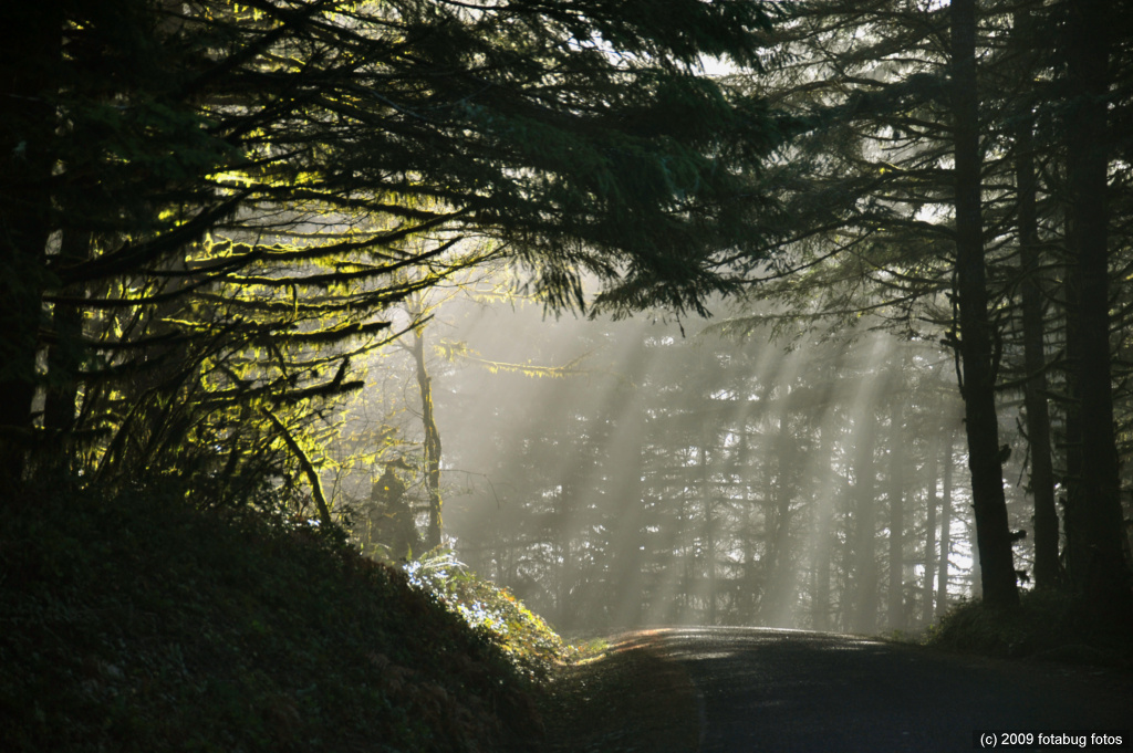 D3-011609_107-Edit.jpg