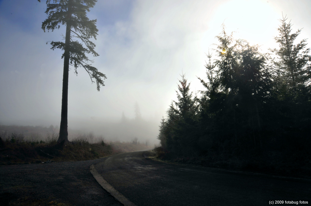D3-011609_162-Edit.jpg