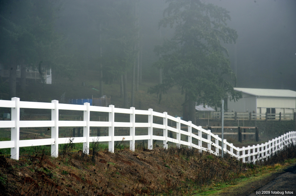 D3-011609_196-Edit.jpg