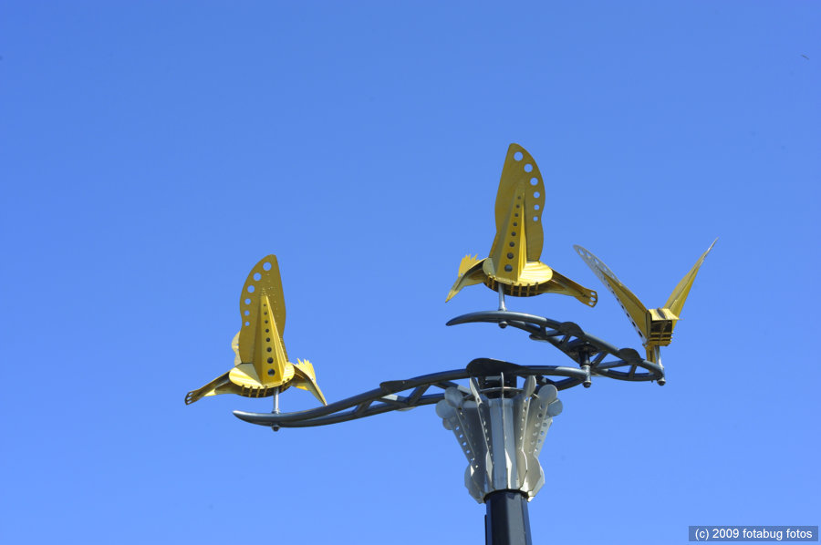 D3-042409_105.jpg