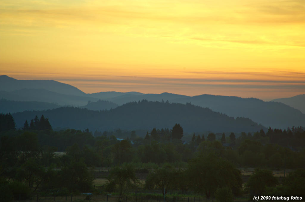 D3-082809_044.jpg