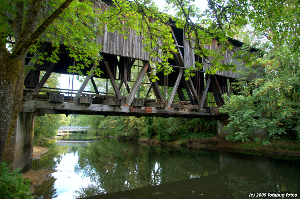 D3-082809_120.jpg