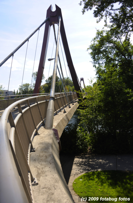 D3-080909_013.jpg