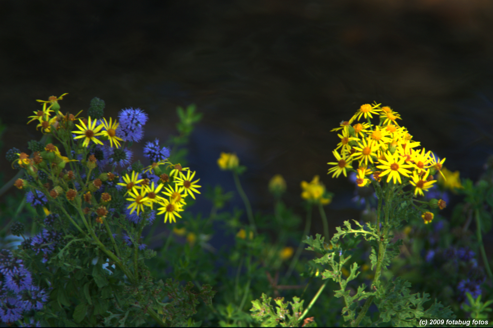 D3-080309_031.jpg