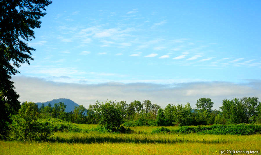 Alton Baker Park and Spencers Butte