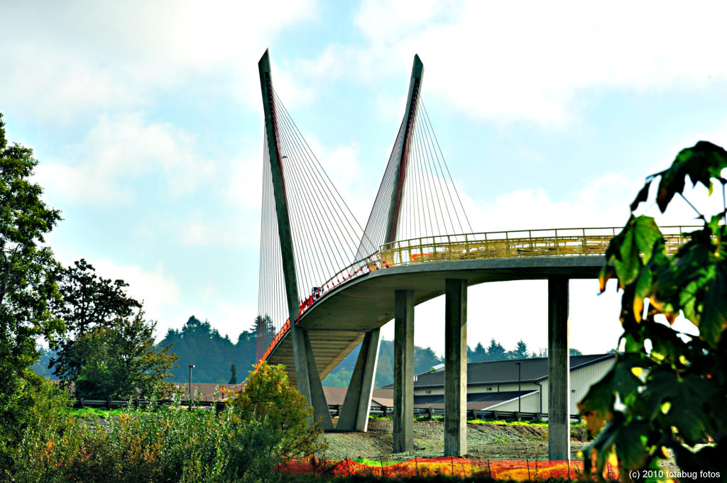 The New Delta Ponds Footbridge