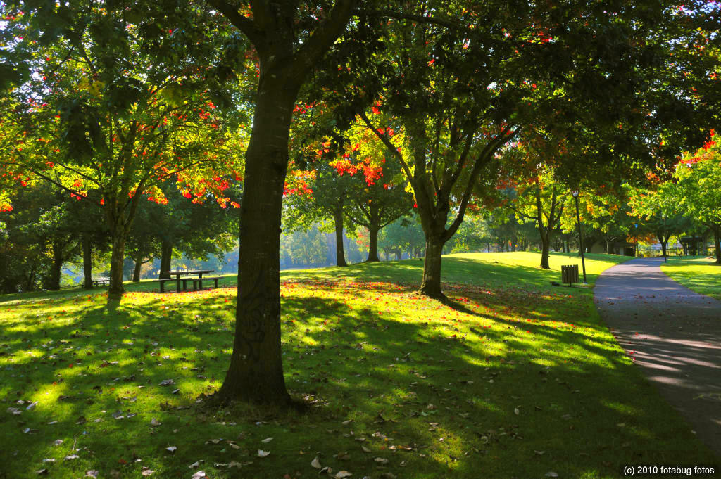 Maurie Jacobs Park Scene