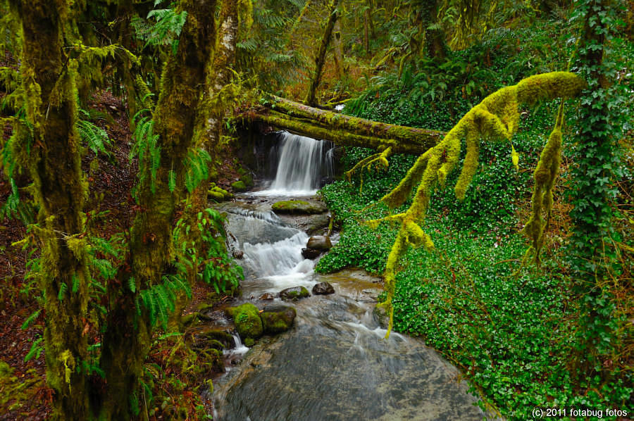 Roadside Falls