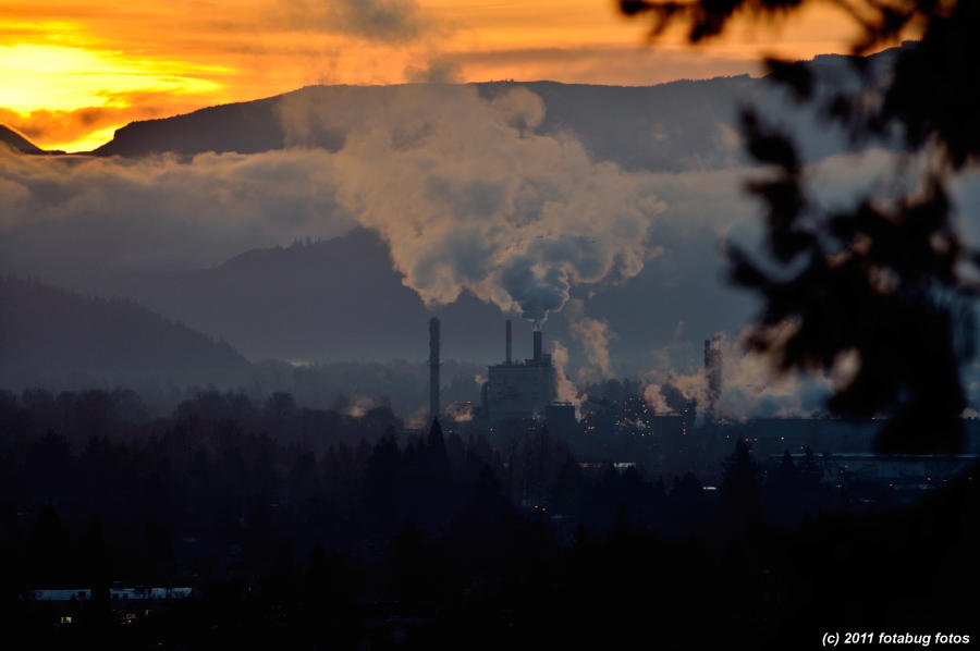 International Paper Company at sunrise