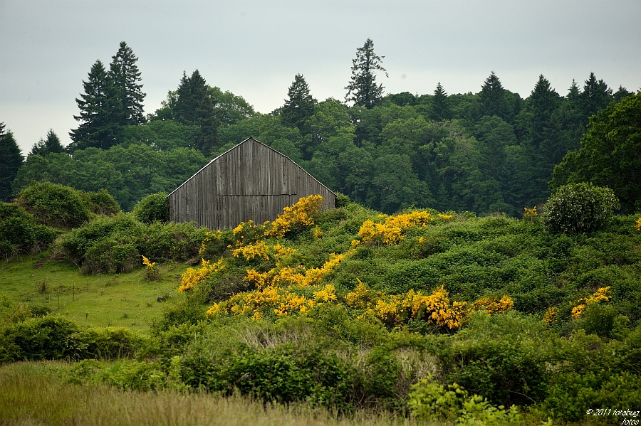 D3-060611-164.JPG