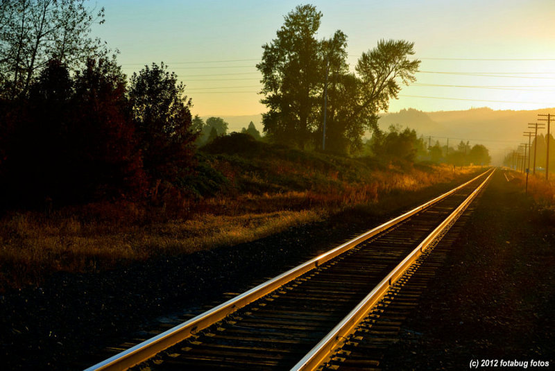 In The Direction of the Rising Sun