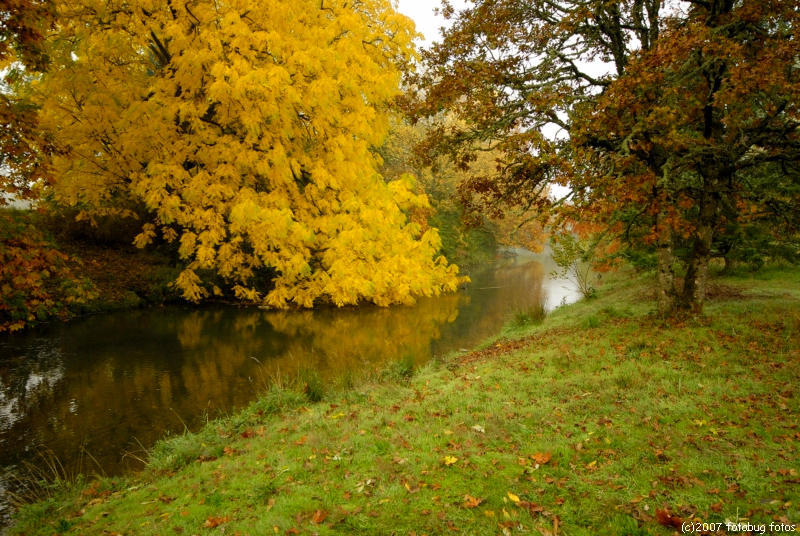D200-2007-10-23_063.jpg