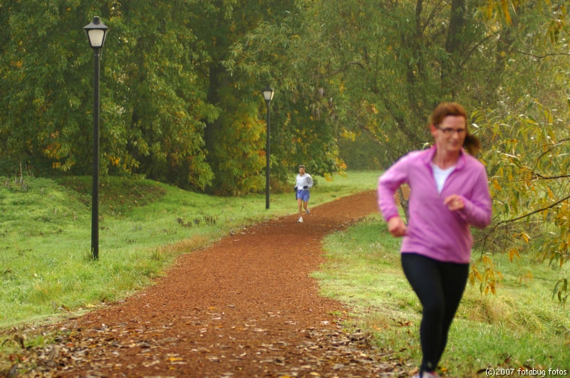 D2x2007-10-23_153.jpg