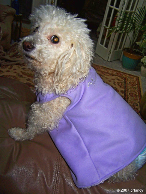 Rosie with attitude