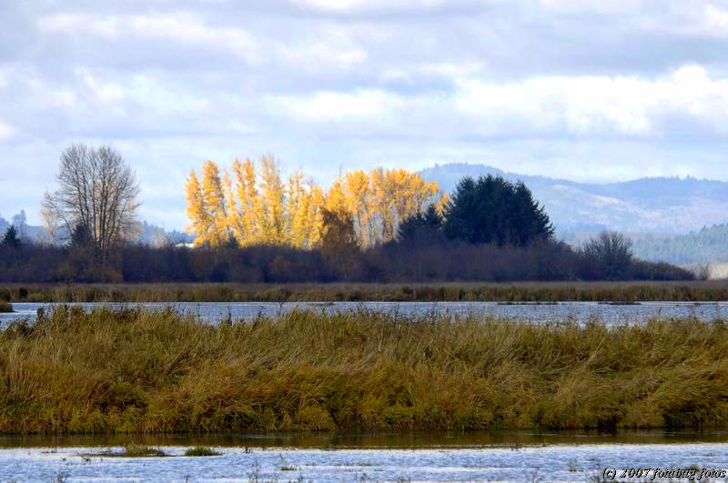 D2x2007-11-20_049.jpg
