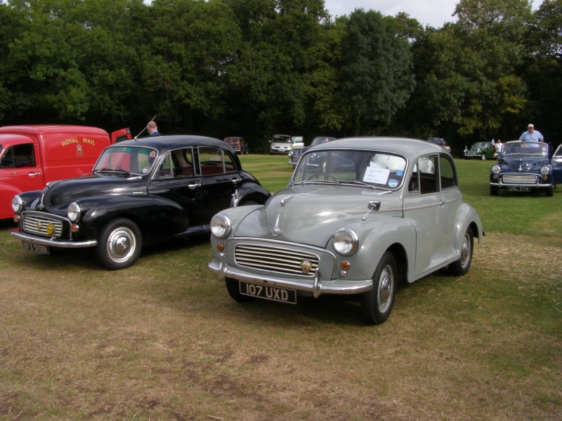 The rally