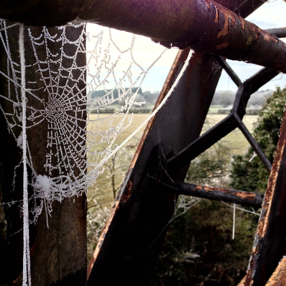Theres magic in the web<br>12 December 2012 (451)
