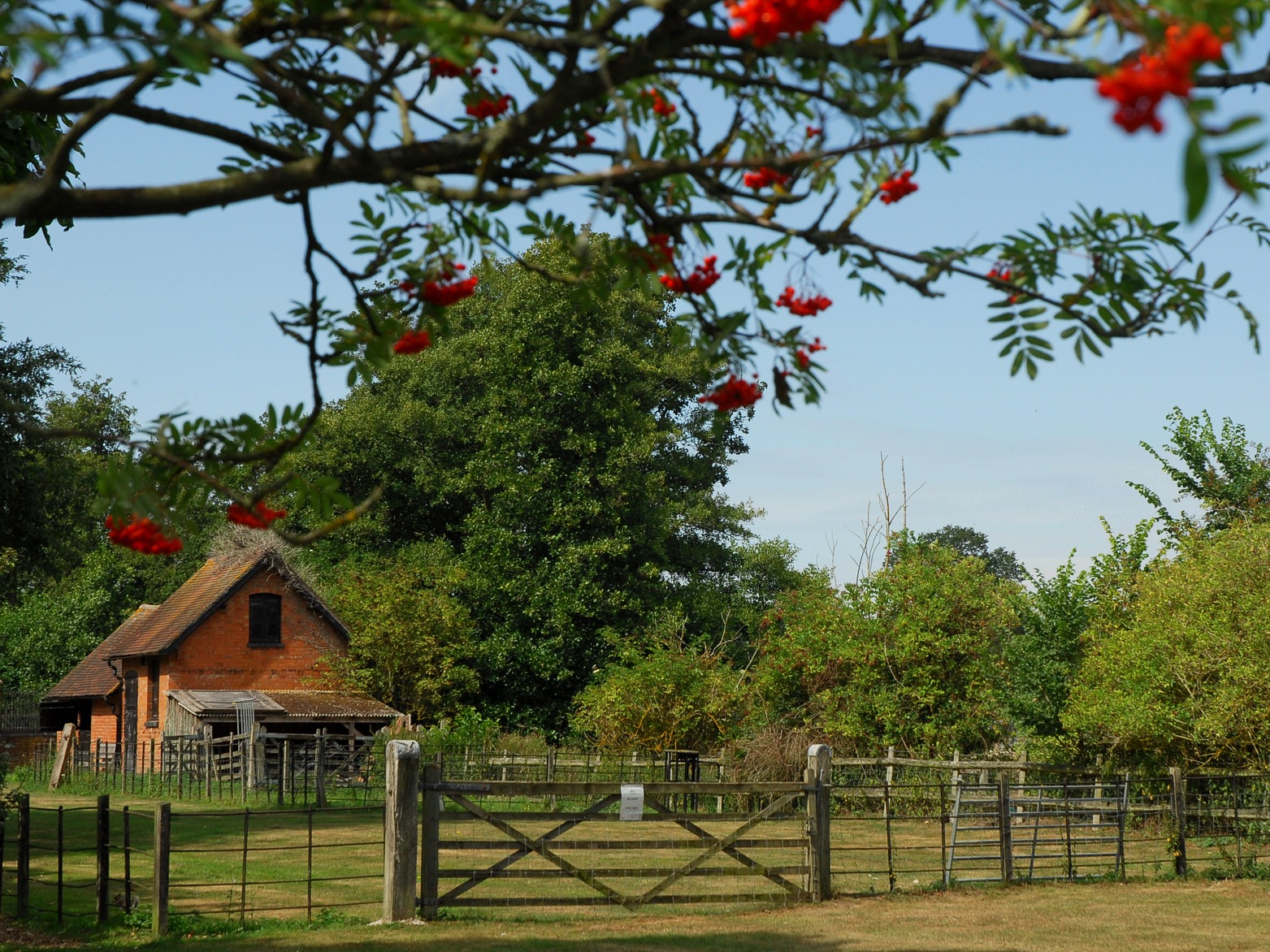 Little house...