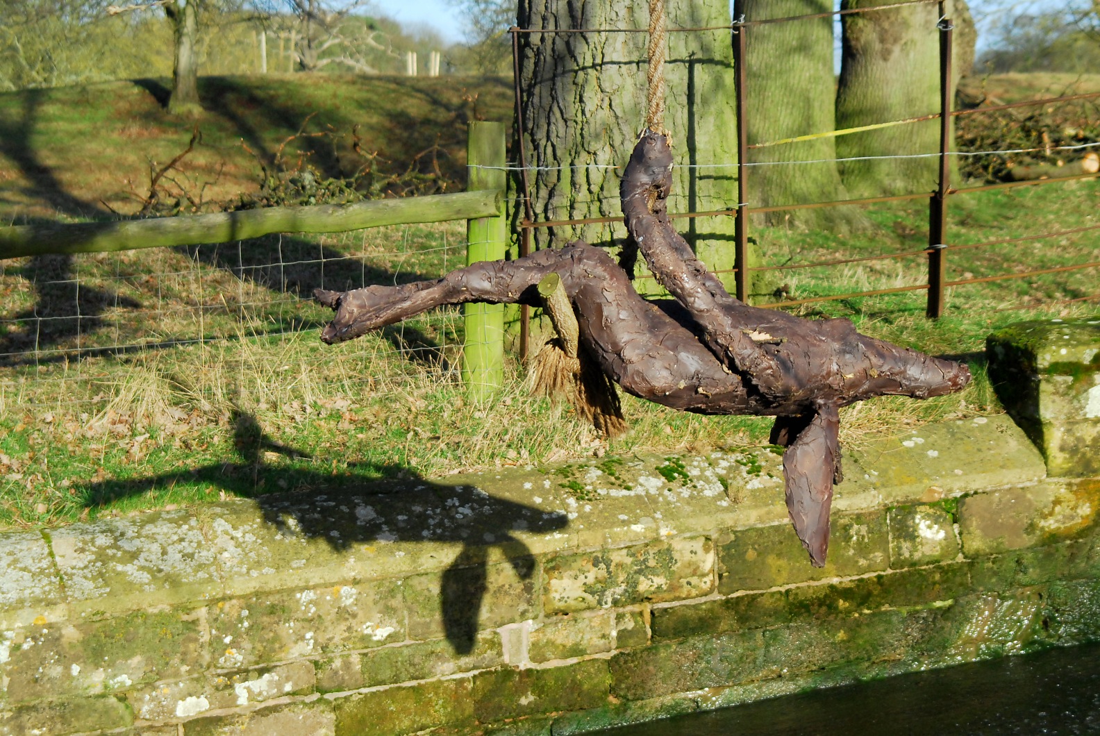 A mouse on a swing...?