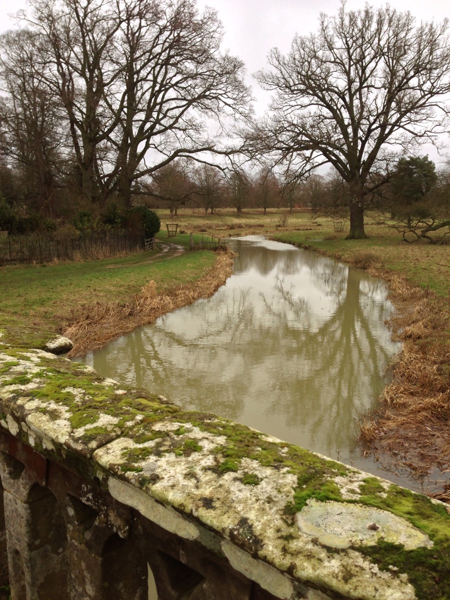 Foggy, raw, and dull<br>2 January 2013 (461)