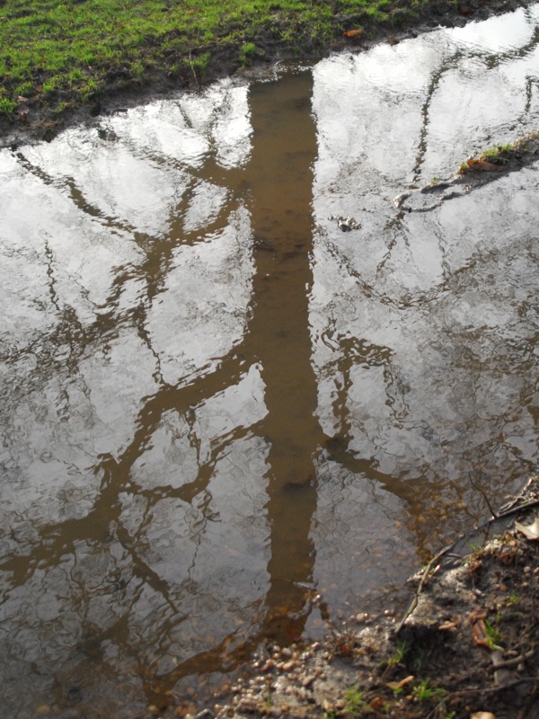 Time to reflect
