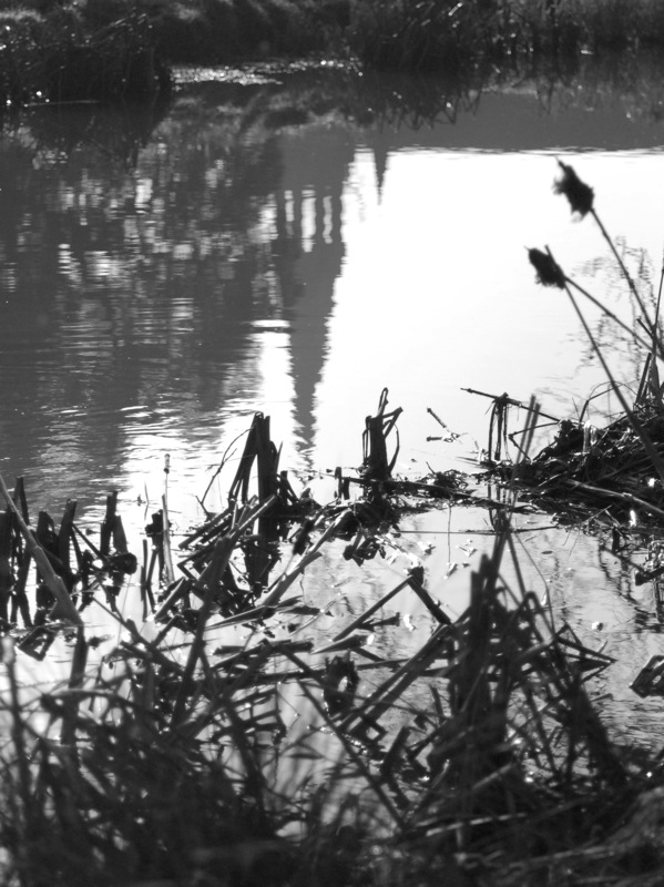 Time to reflect I