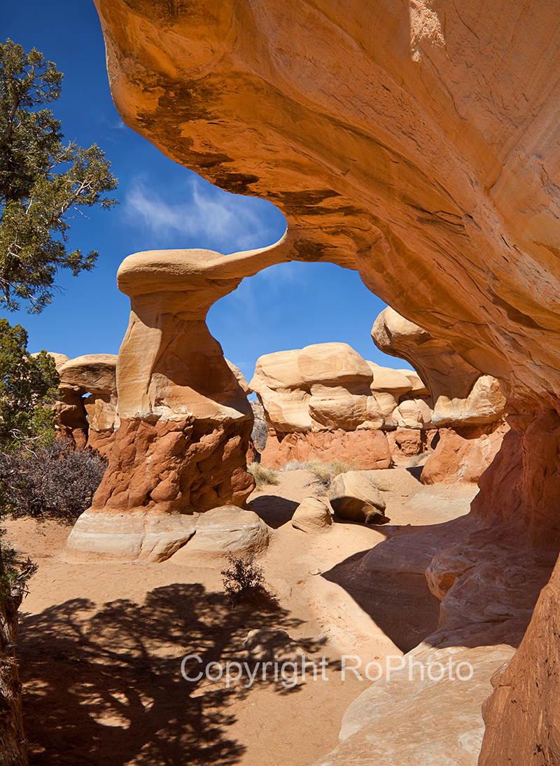 09-03 Metate Arch Devils Garden 01.JPG