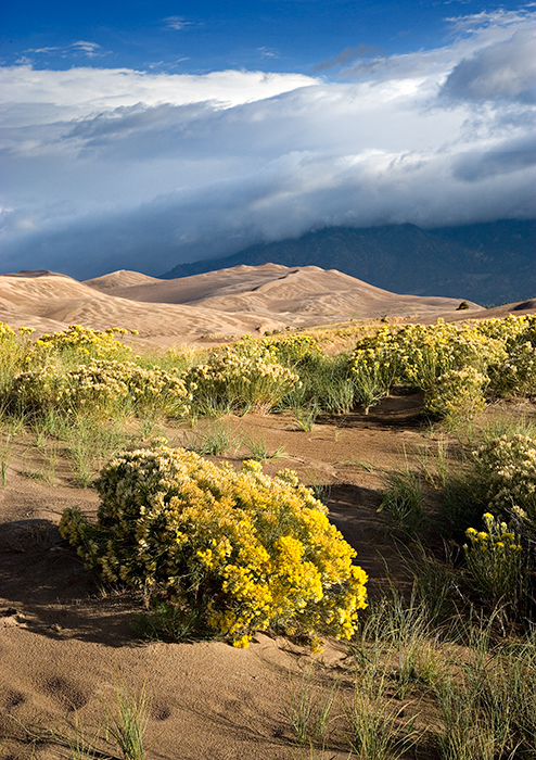 07-09 Great Sand Dunes NP 01.jpg