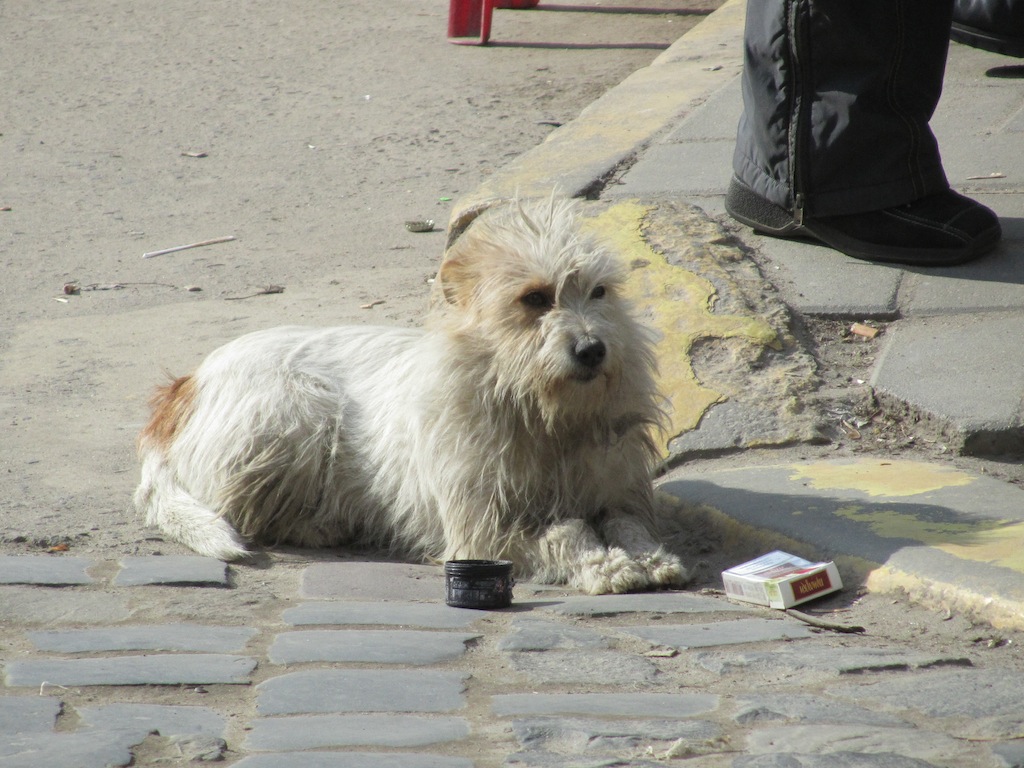 a tired shopper taking a cigarette break