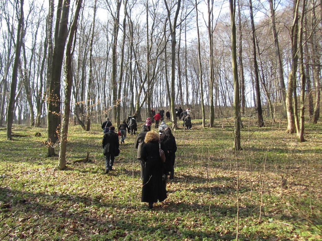 the woods are a picnic and recreation area now, ignorant of the recent past