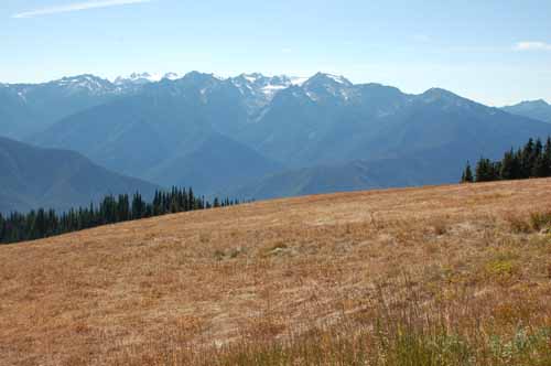 Olympic Peninsula, Washington  04.