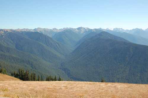 Olympic Peninsula, Washington  05